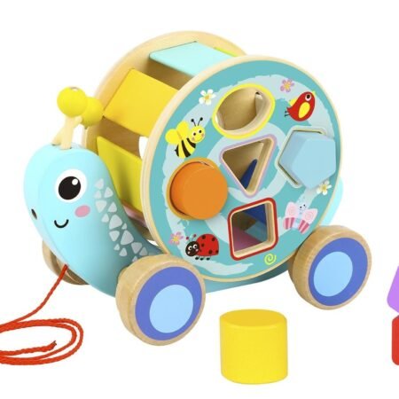 PULL ALONG SNAIL WITH ROLLING WHEEL & BLOCKS - Dosylane