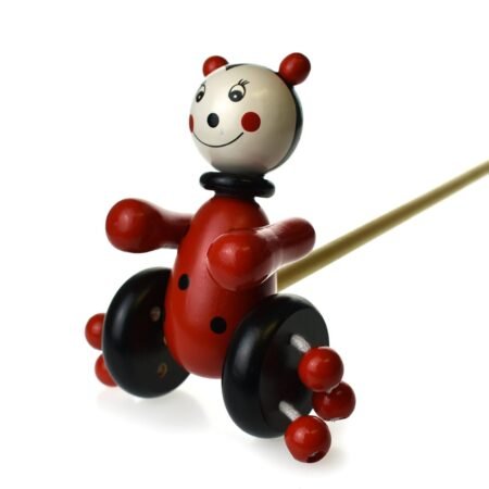 PUSH ALONG WOODEN LADYBIRD - Dosylane