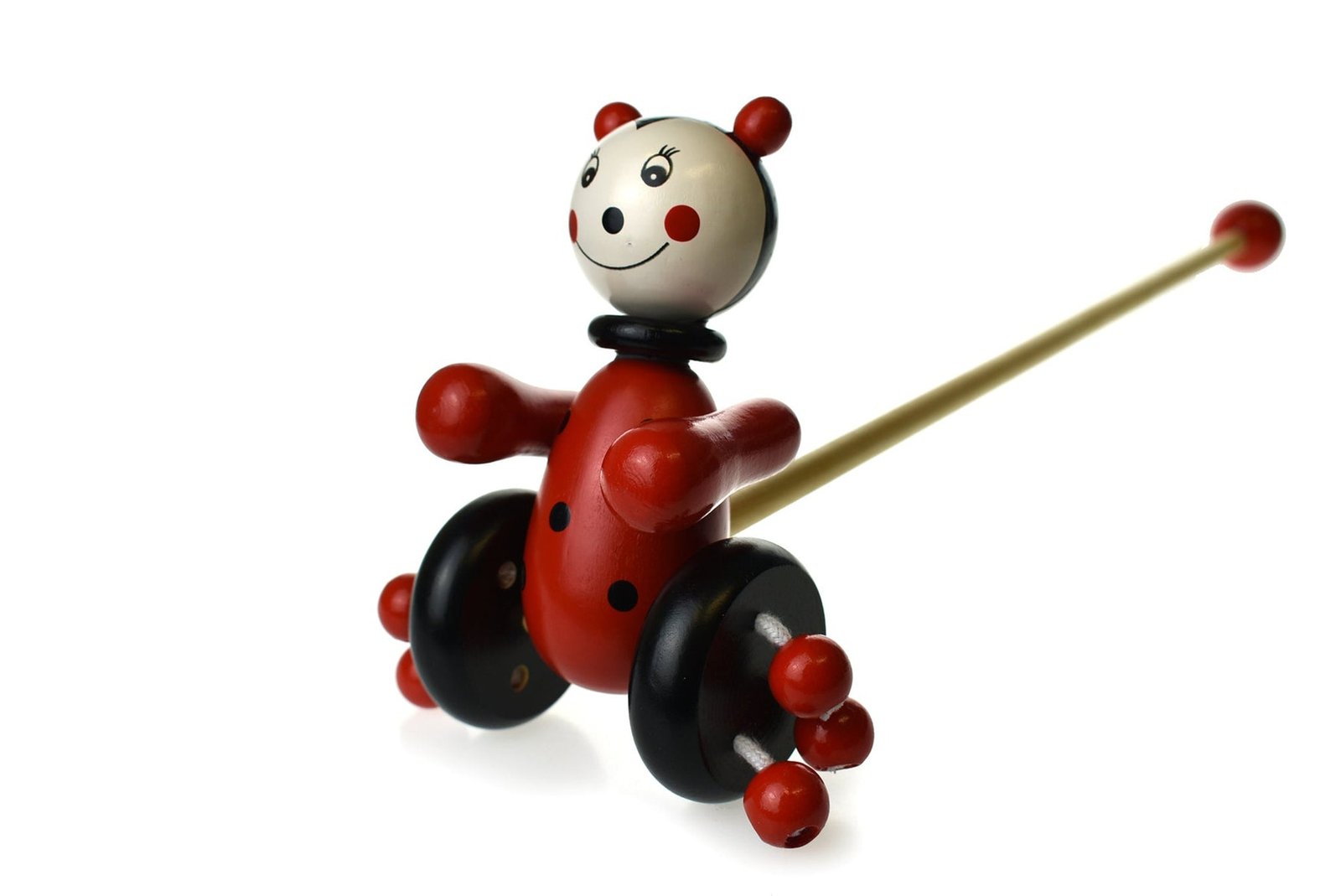 PUSH ALONG WOODEN LADYBIRD - Dosylane