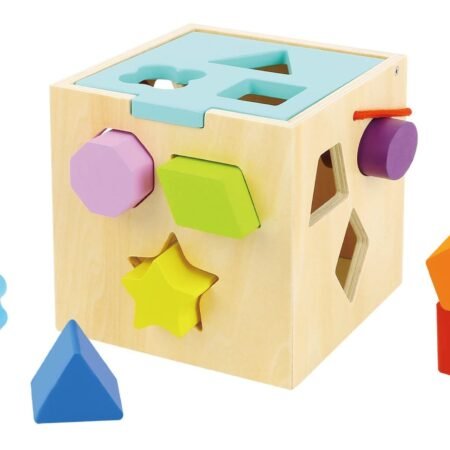 SHAPE SORTER WITH 12 PCS WOODEN BLOCKS - Dosylane